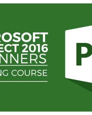 MICROSOFT PROJECT